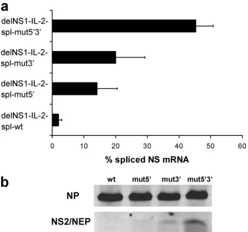 FIG. 2. RT-PCR analysis of passaged stop-start delNS1-IL-2 vi-ruses demonstrating the genetic stability of splice sequence mutants.