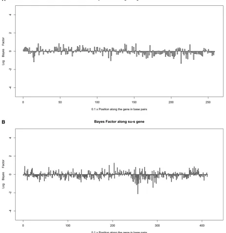 Figure 2 (A) Bayes factors along the su-w gene for 10-bp windows. The logarithm of the ratio of posterior to prior odds for gene-conversion initiationpoints is plotted along the gene