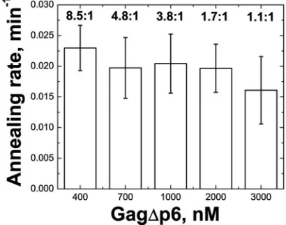 TABLE 1. Annealing and binding parameters of Gag variantsd