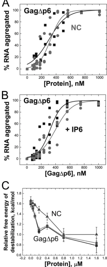 FIG. 4. (A) Aggregation activity of Gag�NC (circles). (B) Gagence (circles) and absence (squares) of 5:1 IP6 to Gagthree(C) GagDNA hairpin in the absence (squares) and presence (circles) of a5-fold excess of IP6
