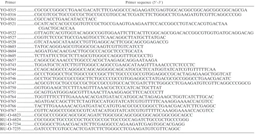 TABLE 1. Primers used in these studies