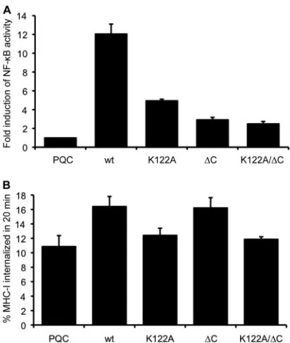 FIG. 3. Signaling functions of BILF1 mutants and the requirementof the EKT signaling motif for enhanced endocytosis of surface