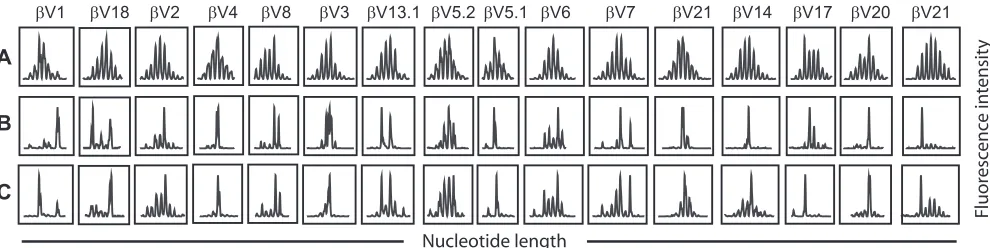 FIG. 4. HIV-suppressing CD8�diversity proﬁling was performed on CD45RA(C) cells that had been freshly isolated from the blood of an HIV-infected individual