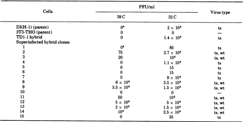 TABLE 4. Frequency of ts and wt SV40 plaques in virus rescued from doubly transformed cell linesa