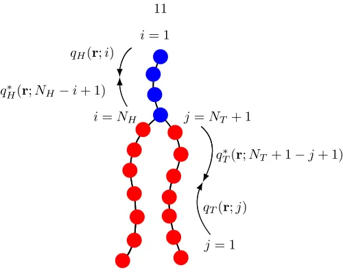 Figure 2.1: A double-tailed lipid model consisting of head (blue) and tail (red) monomers