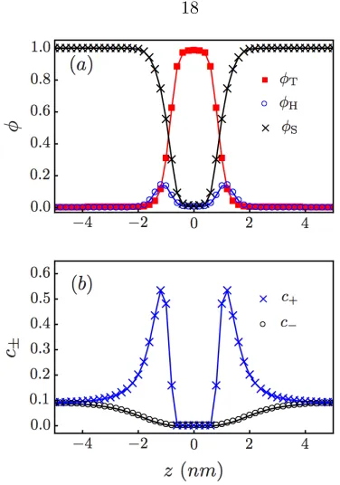 Figure 2.2: (a) Volume fractions and (b) ion number concentrations (nm−3) across the axis perpen-dicular to the membrane