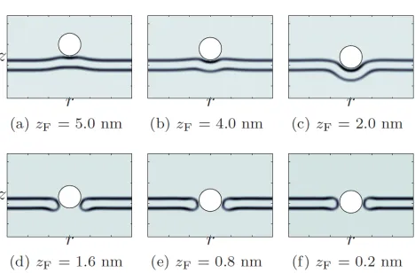 Figure 2.5: φH in cylindrical coordinates for a tensionless membrane and a fully protonated G5dendrimer with cF = 1.55 nm−3