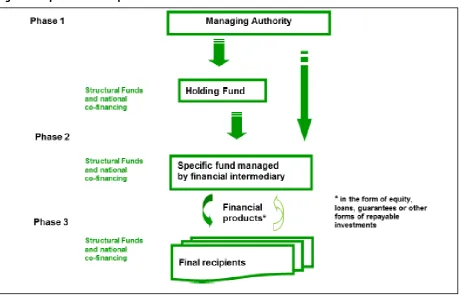 Figure 1: Implementation options for FIs    