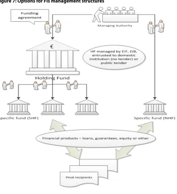 Figure 7: Options for FIs management structures    