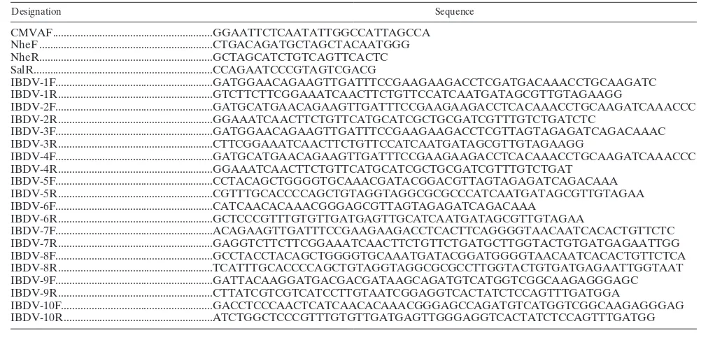 TABLE 1. Oligonucleotides used for construction of various plasmids