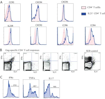 FIG. 3. Phenotypic and functional characteristics of HIV-1-speciﬁc IL-21�HIV controllers were stimulated as indicated with the Gag peptide pool or SEB for 5 h in IL-21-supplemented medium (50 ng/ml)