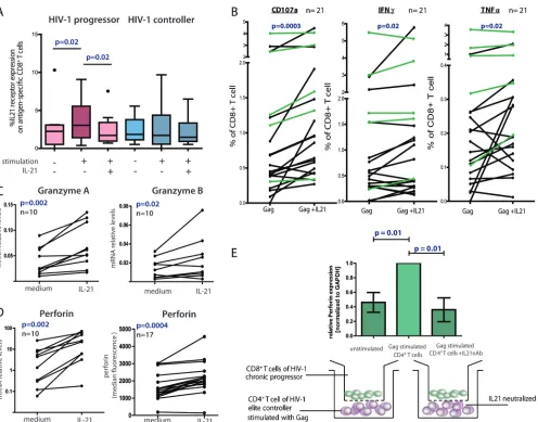 FIG. 4. CD8T cells responses to IL-21 stimulation. (A) PBMCs from eight HIV-1-infected progressors and nine controllers were cultured forbottom chamber of a transwell plate with CD8using intracellular cytokine staining