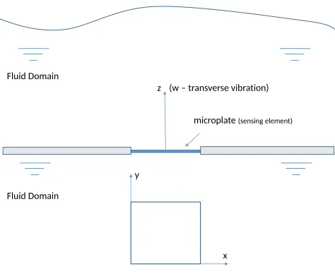 Figure 1. Schematic diagram of microplate vibration model in a ﬂuid