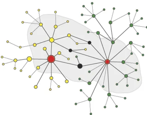 Figure 2 Gene networks are not distinct, discrete causal units. Twonetworks (yellow and green) are shown schematically, with genesparticipating in both shown in black