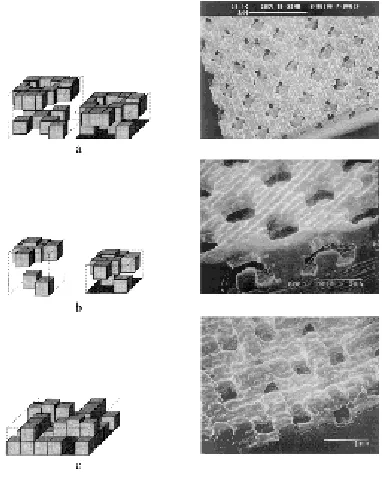 Figure 10 : Different surface texture geometries and surface image of the castings (Curodeau, Sachs et al
