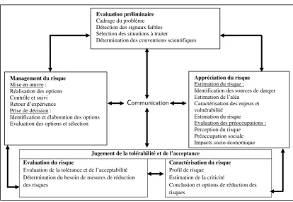 Figure 4. Cadre méthodologique proposé par l’IRGC24 pour la gestion intégrée des risques 