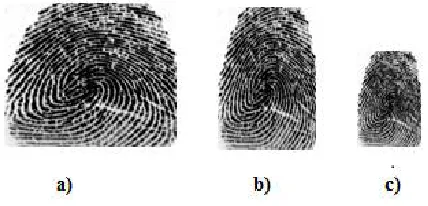 Fig. 3. Preprocessing Step a) Input Fingerprint image b) Enhanced Image after applying CLAHE, c) Image resized by  164*164 