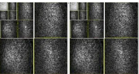 Fig 4. Feature extraction from male and female image 