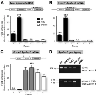 FIG. 4. Apobec3resistant B6 andmice show higher totalA.BY and BALB/c mice than in B6 mice, despite having lower totalprobes, with their relative locations being highlighted