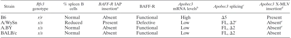 TABLE 2. BAFFR versus Apobec3 polymorphisms in relation to Rfv3