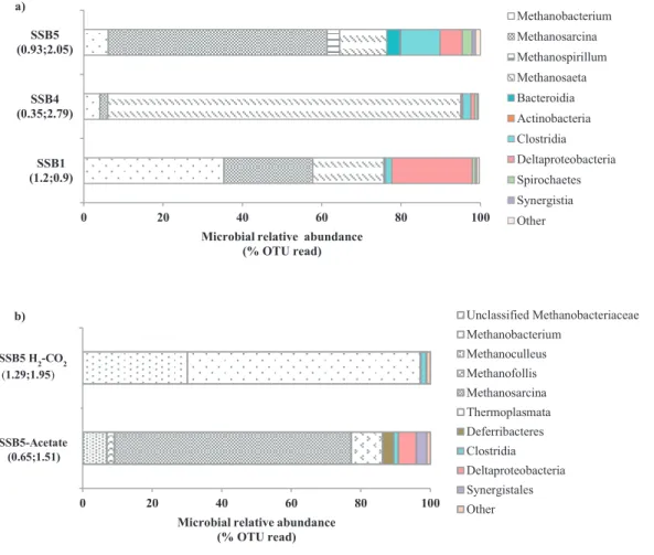 Figure 4. Microbial diversity in SSB cultures enrichment, a) In SSB1, SSB4 and SSB5 using Suban coal as a substrate, b) In SSB5  using acetate and H 2 -CO 2  as substrates