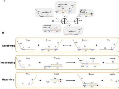 Figure 2.1: Tnode, connected through wires.where the input strand can reversibly displace the top-strand of the gate:output complex.The second is the thresholding reaction that irreversibly binds the input strand