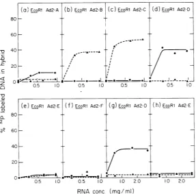 TABLE 2. Ad2 RNA sequences complementary to Ad2, Ad2+Nl, and Ad2+ND, early RNAa