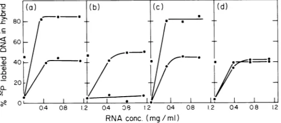FIG. 4.Ad2+ND,DNAnealingofhydroxylapatiteRNAofincubatedwithwas(d)thetwoIbuffer, strand early 0.49 Summation experiments performed by annealing mixtures of early Ad2, Ad2+ND, and Ad2+ND3 to 32P-labeled strands of EcoRI-Ad2 fragments D and E