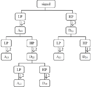Figure 2. Mother wavelets (left panels) and their Fourier transform modulus (right panels)