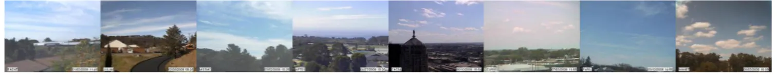 Figure 8. Sample outdoor images of the target data set derived from the AMOS data set [8].