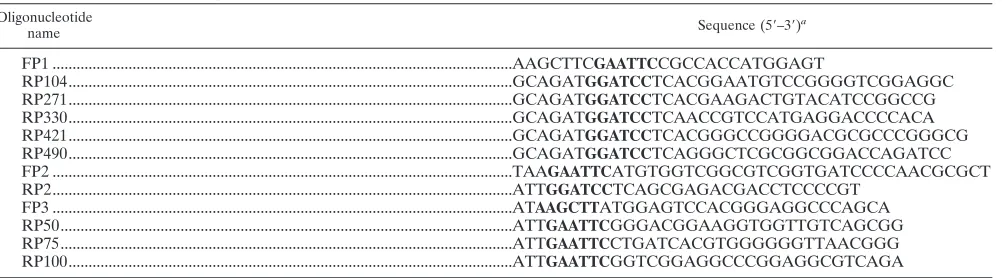 TABLE 1. Sequences of oligonucleotides used in the construction of the various truncation mutants of UL12