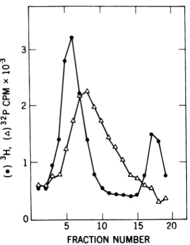 FIG SedimentationatscintiiSDSRNAsofandescriwas0.01minec tho 20 ali1. analyses of the 50 to 70Sof H-MSV(MLV) and of M-MLV