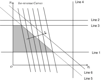 Figure 3. Linear Programming for the South model