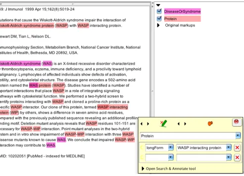 Fig. 1. Visualisation of BADREX output in GATE, showing automatically annotated and coreferenced short forms
