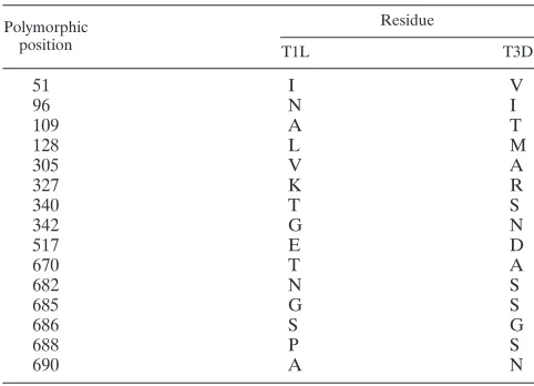 TABLE 1. Location and nature of polymorphic residues inT1L and T3D �1 proteins