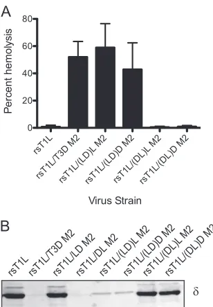 FIG. 7. The jelly-roll 10cated viruses in virion-storage buffer at 37°C for 40 min, chilled on icefor 20 min, and treated with trypsin at 4°C for 30 min