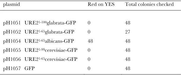TABLE S1 