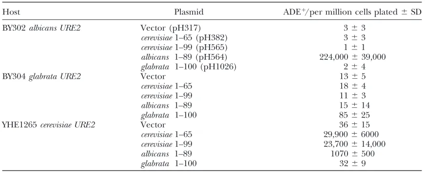 TABLE 4