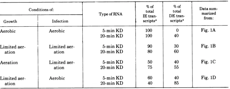TABLE 1. IE and DE RNA content of T4-infected K+-depleted cells: effect of culture conditions