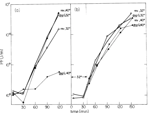 FIG.1.40shiftedcoliinfectedclosed C Requirement for the dnaG function early in M13 replication