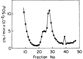 FIG. 3.DensityandregionsmentedbydnaGThe(VS)Tris vertical Distribution of 3H label between the viral complementary strands of RFlIIformed in PC3X8 at 39 and 41 C
