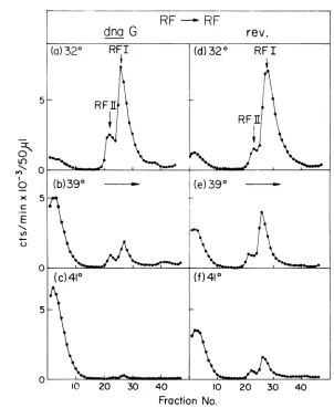 FIG. 5.anddensitiesastwo[8H]thymidine described. RF replication (RF, RF) in PC3X8 dnaG and PC3X8 rev