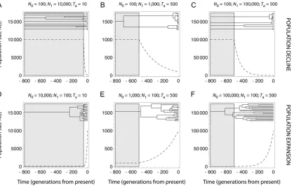 Figurelineages is represented. Expected gene genealogies were obtained by averaging coalescence times over 500,000 simulations of eachdemographic scenario