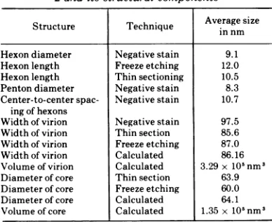 TABLE 1. Measured and calculated dimensions ofAd2 and its structural components