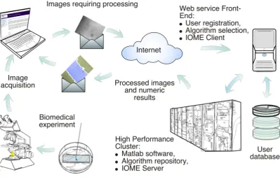 Fig. 1 Graphical description of CAIMAN