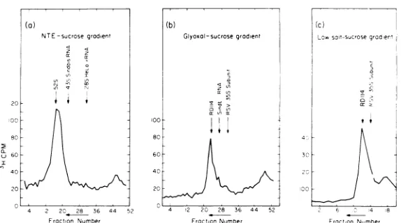 FIG. ofaresucroseverticalandtalthe estimates of the extrapolation bymentationlow sedi- corresponding results salt-sucrose glyoxal-sucroseerror (The and NTE- gradient; andpresentedSindbis (0)scale