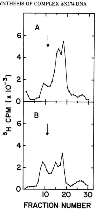 FIG.1.DNAculture Zone sedimentation of intracellular from 4X174 am3-infected LD331. A of bacteria was grown at 30 Cto