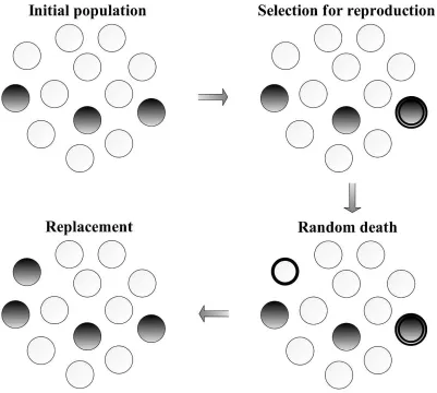 Figure 1.1: The Moran process with frequency dependent ﬁtness. A ﬁnite population con-sists of two types of individuals, A and B