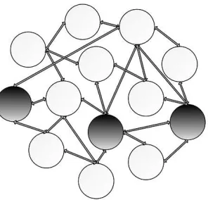 Figure 1.3: A population represented by a graph. Each individual of the population occupiesa vertex of the graph