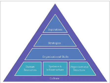 Capacity Assessment Frameworks - Municipal Capacity Assessment